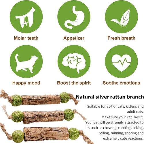 1pc Cat Cleaning Teeth Pure Natural Catnip Cat Molar Toothpaste Stick Silvervine Actinidia Fruit Matatabi Cat Snack Stick